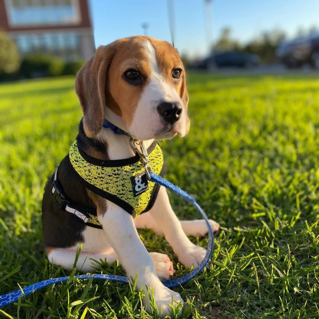 WhatsApp Image 2025-11-25 at 08.25.02