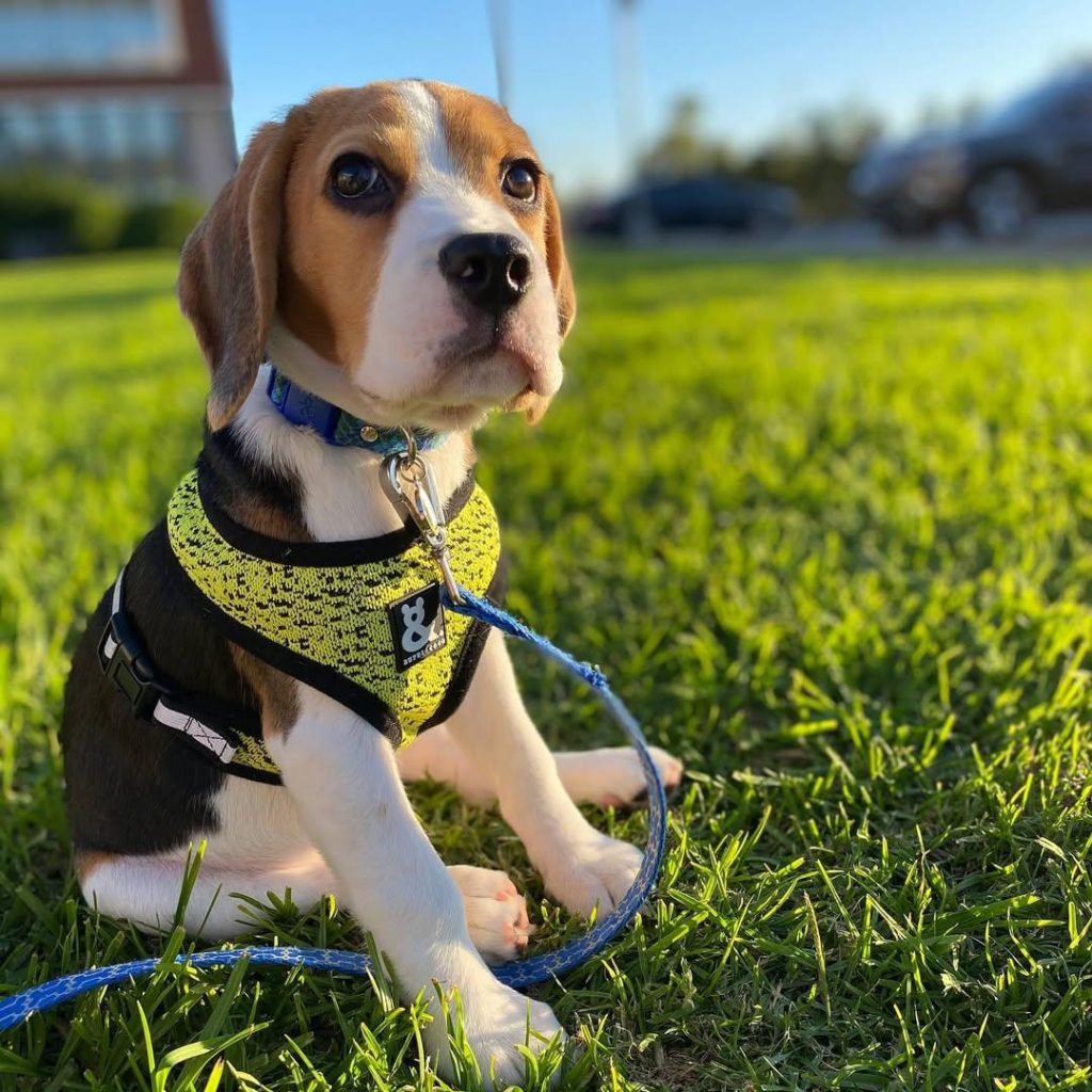 WhatsApp Image 2025-11-25 at 08.25.03 (1)