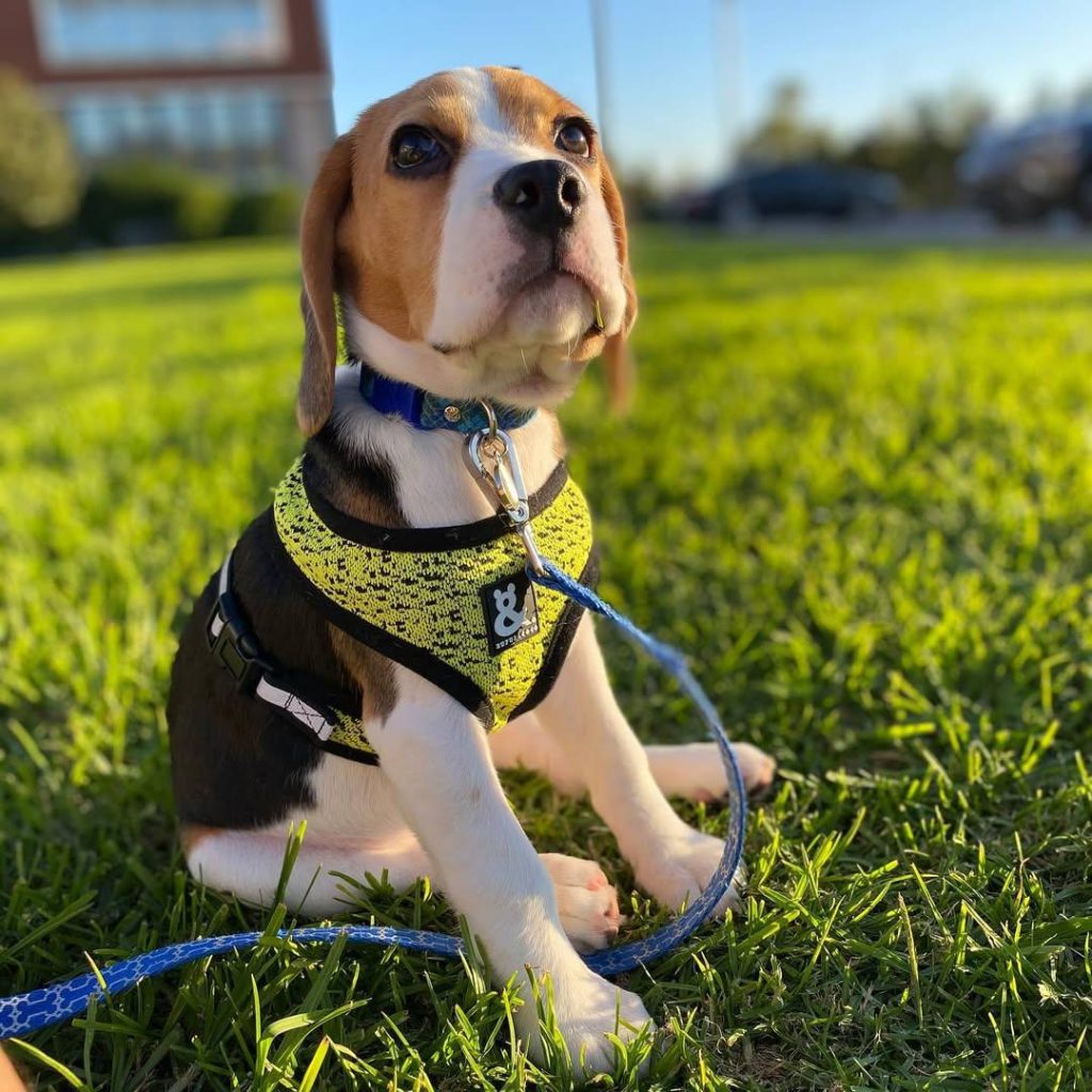 WhatsApp Image 2025-11-25 at 08.25.03