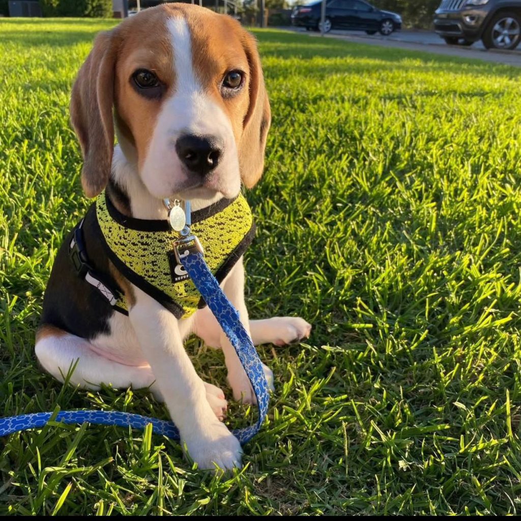 WhatsApp Image 2025-11-25 at 08.26.39